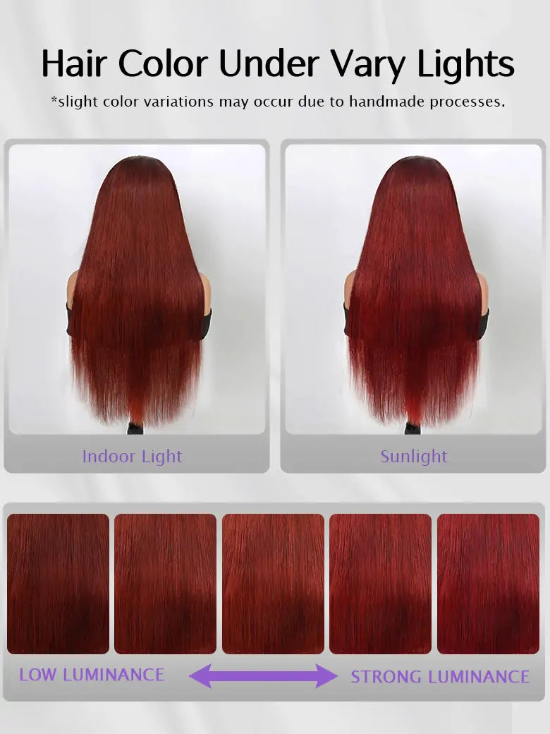 SIMMEL hair reddish brown hair 13x4 lace frontal wig silky straight hair color under vary lights